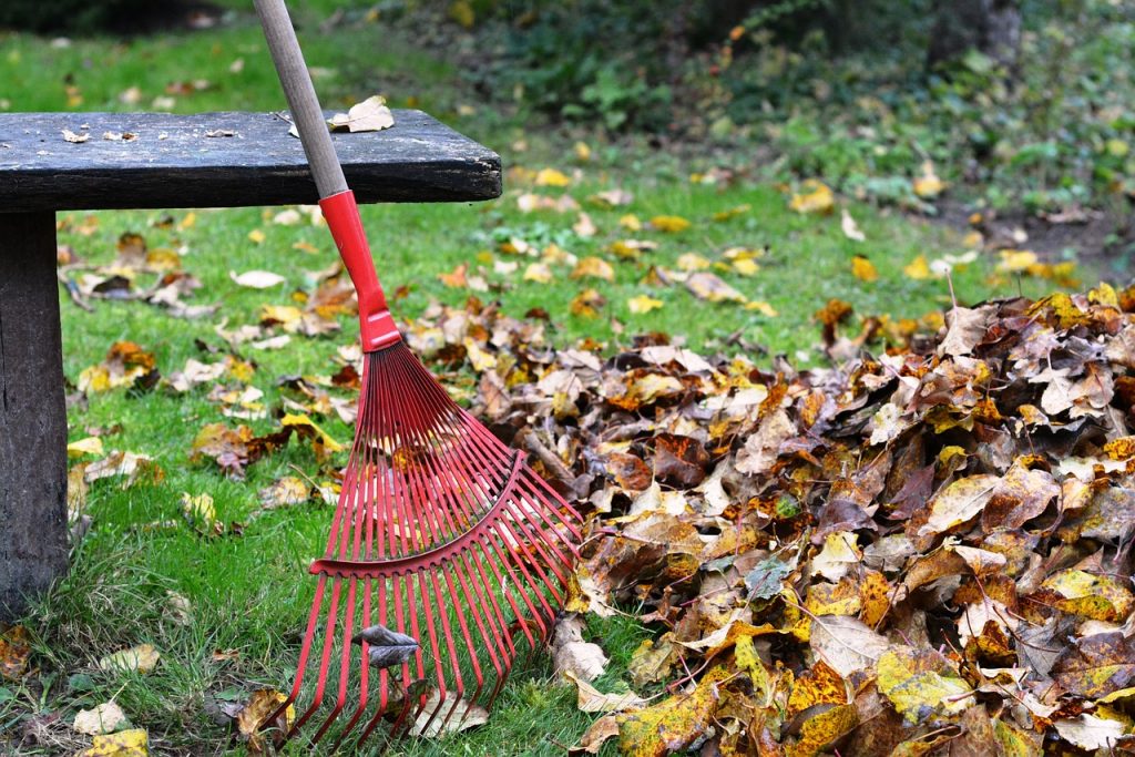 environnement mks proprete a lattes
